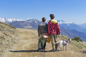 カップル旅行に最適な犬同伴OK宿はどこ？