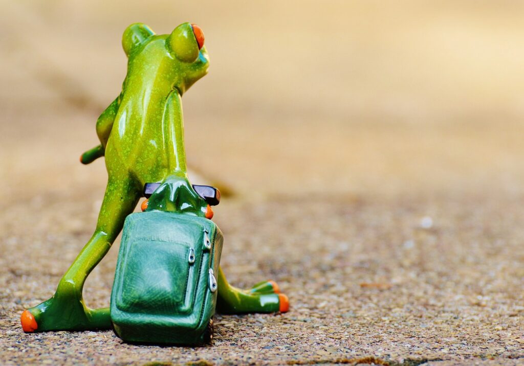 カップル旅行におすすめのペット可宿はどこですか？