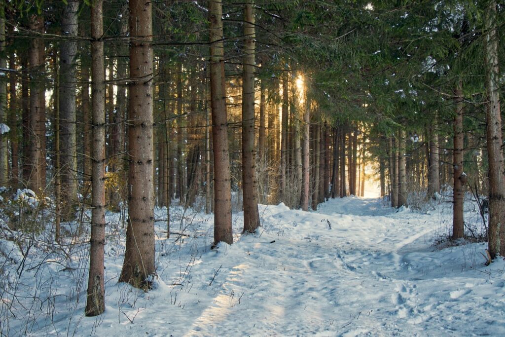 雪景色の中で楽しむカップルにおすすめの露天風呂は？