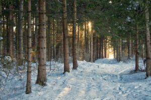 雪景色の中で楽しむカップルにおすすめの露天風呂は？