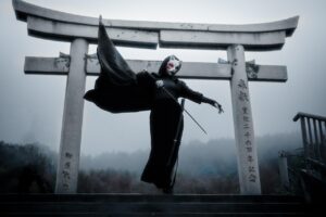 バイキングと懐石の違いは何ですか？