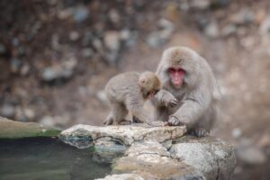 温泉おすすめのポイントはどこにある？