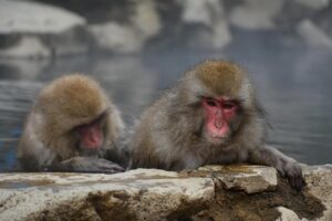 露天風呂はカップルで楽しむのに時間制限があるとどうなる？