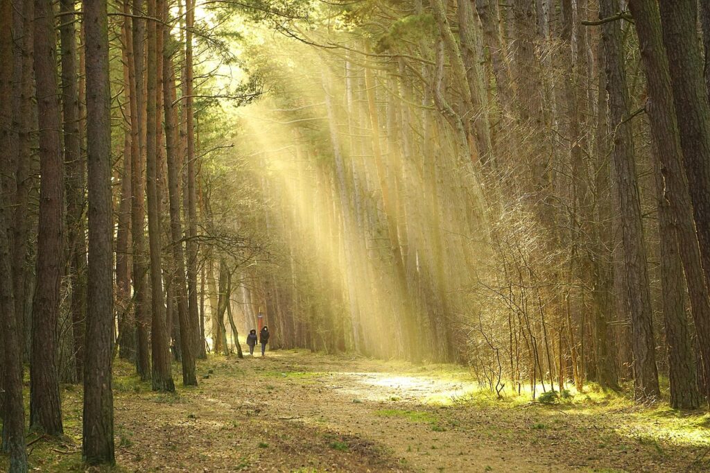 カップル旅行に最適！コスパいい宿はどこを選ぶべき？