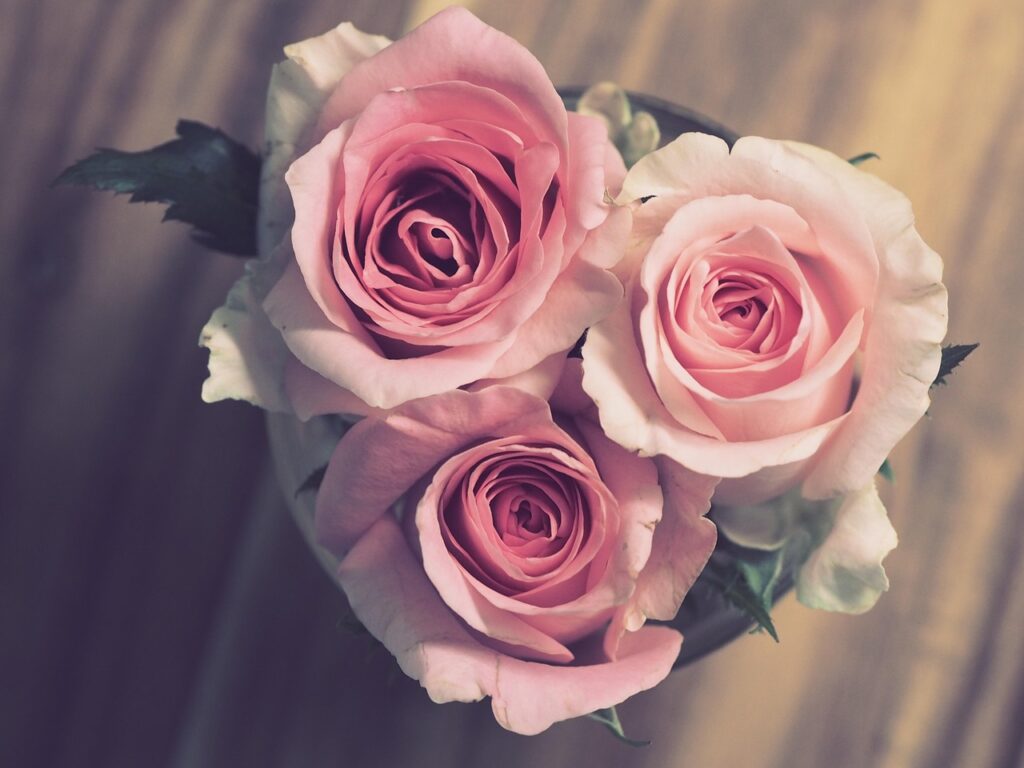 結婚記念日を特別にする温泉宿のおすすめはどこ？